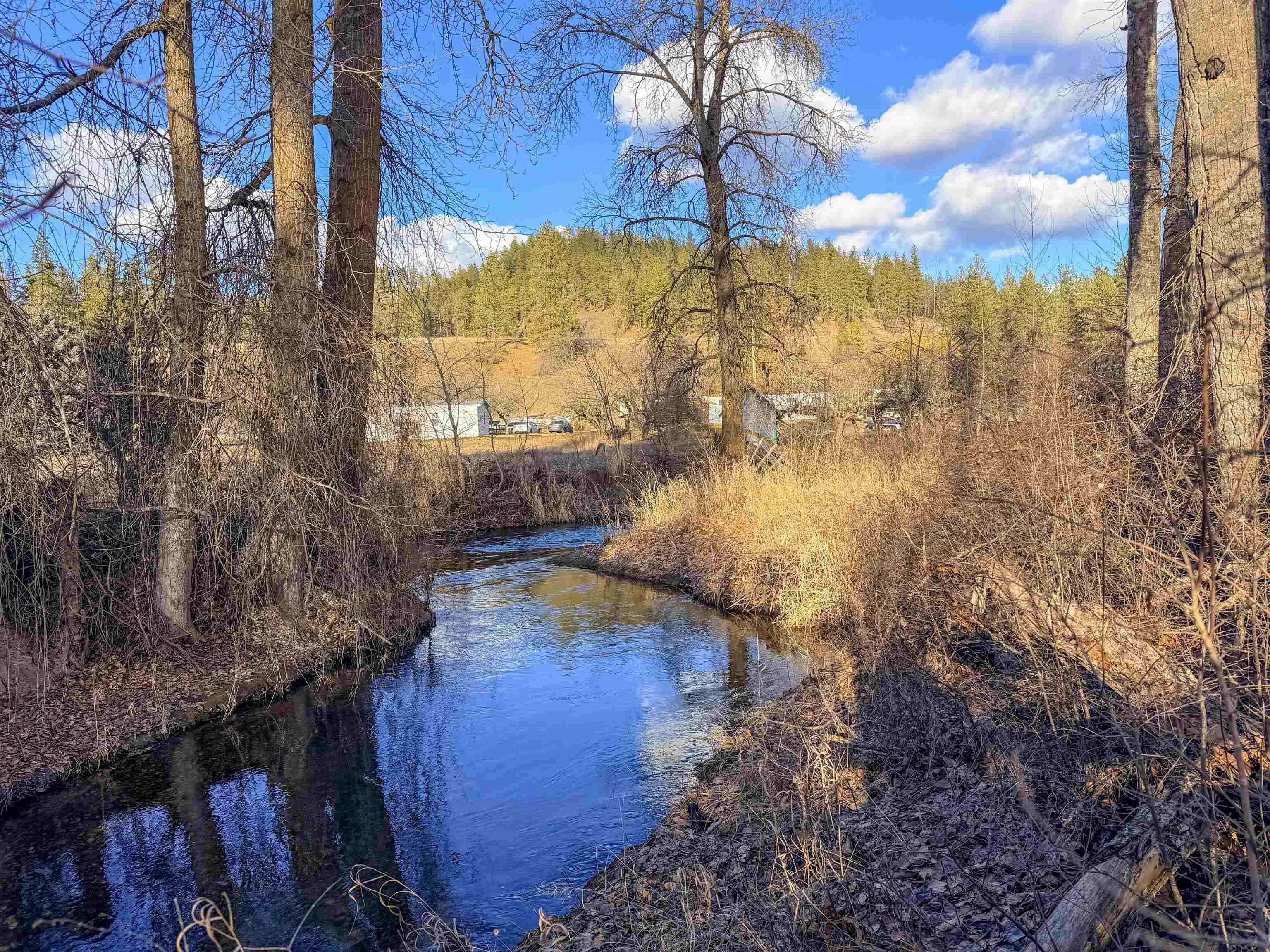 32 X Aladdin Road Colville, WA 99114 - Photo 4 of 27