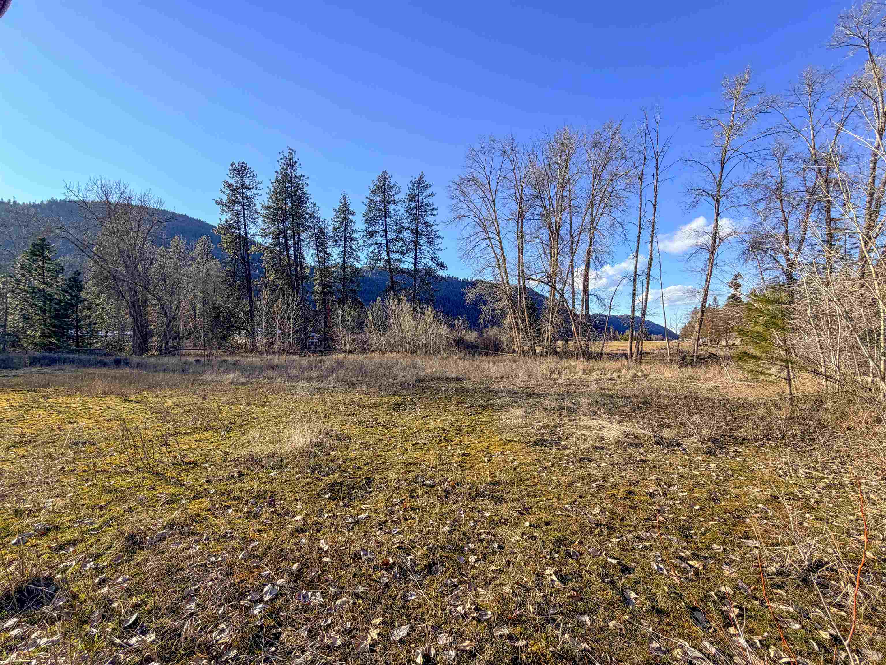 32 X Aladdin Road Colville, WA 99114 - Photo 5 of 27