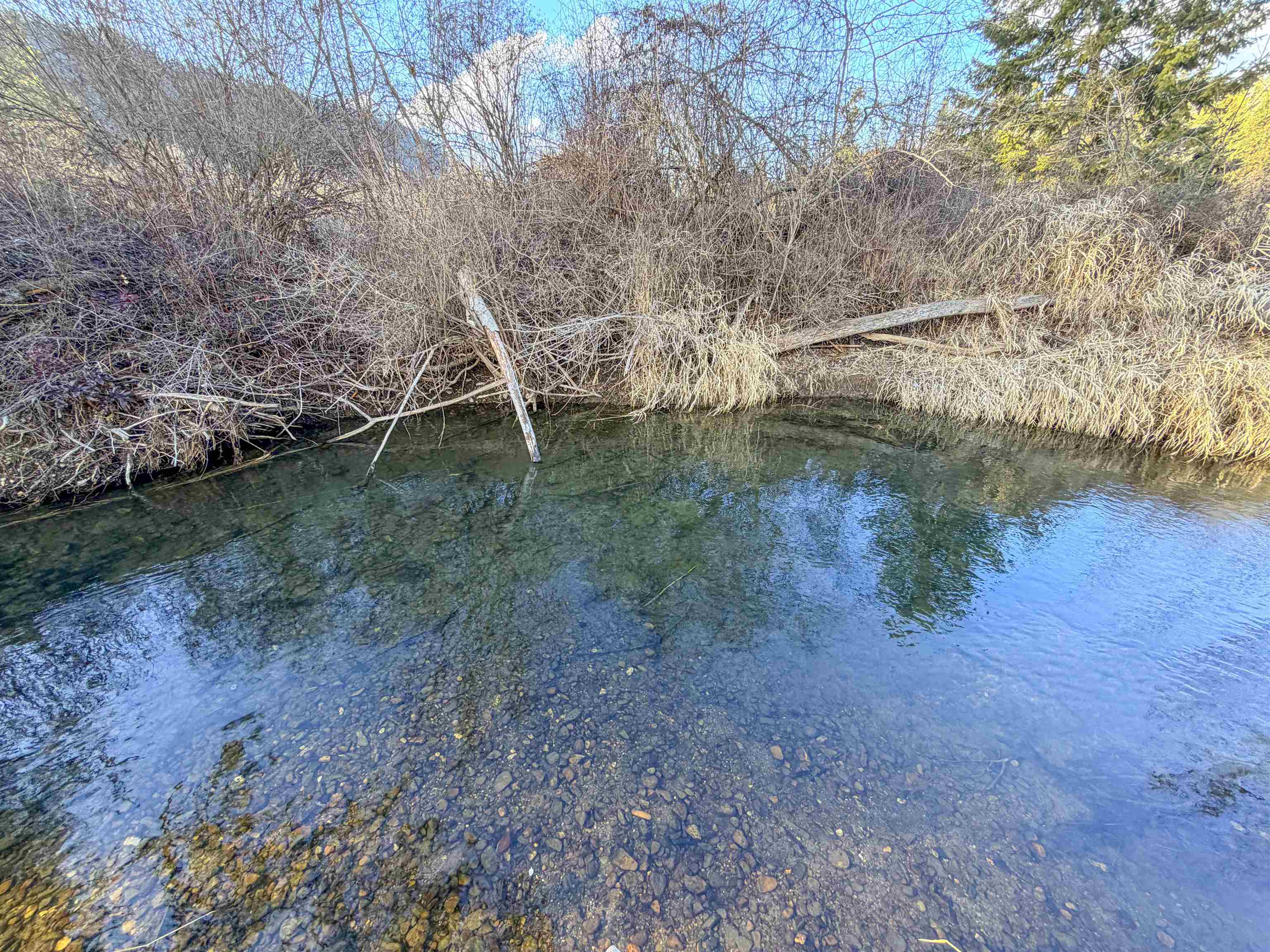 32 X Aladdin Road Colville, WA 99114 - Photo 10 of 27