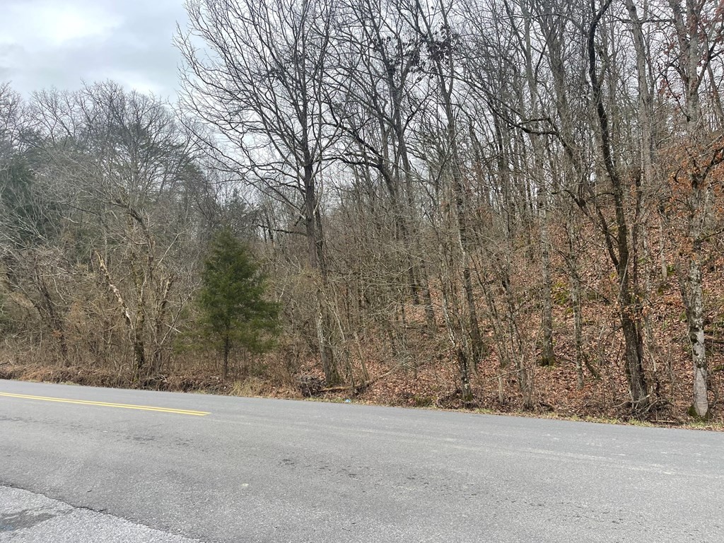 0 Kerr Road Sevierville, TN 37876 - Photo 2 of 4 Gallery Image 2