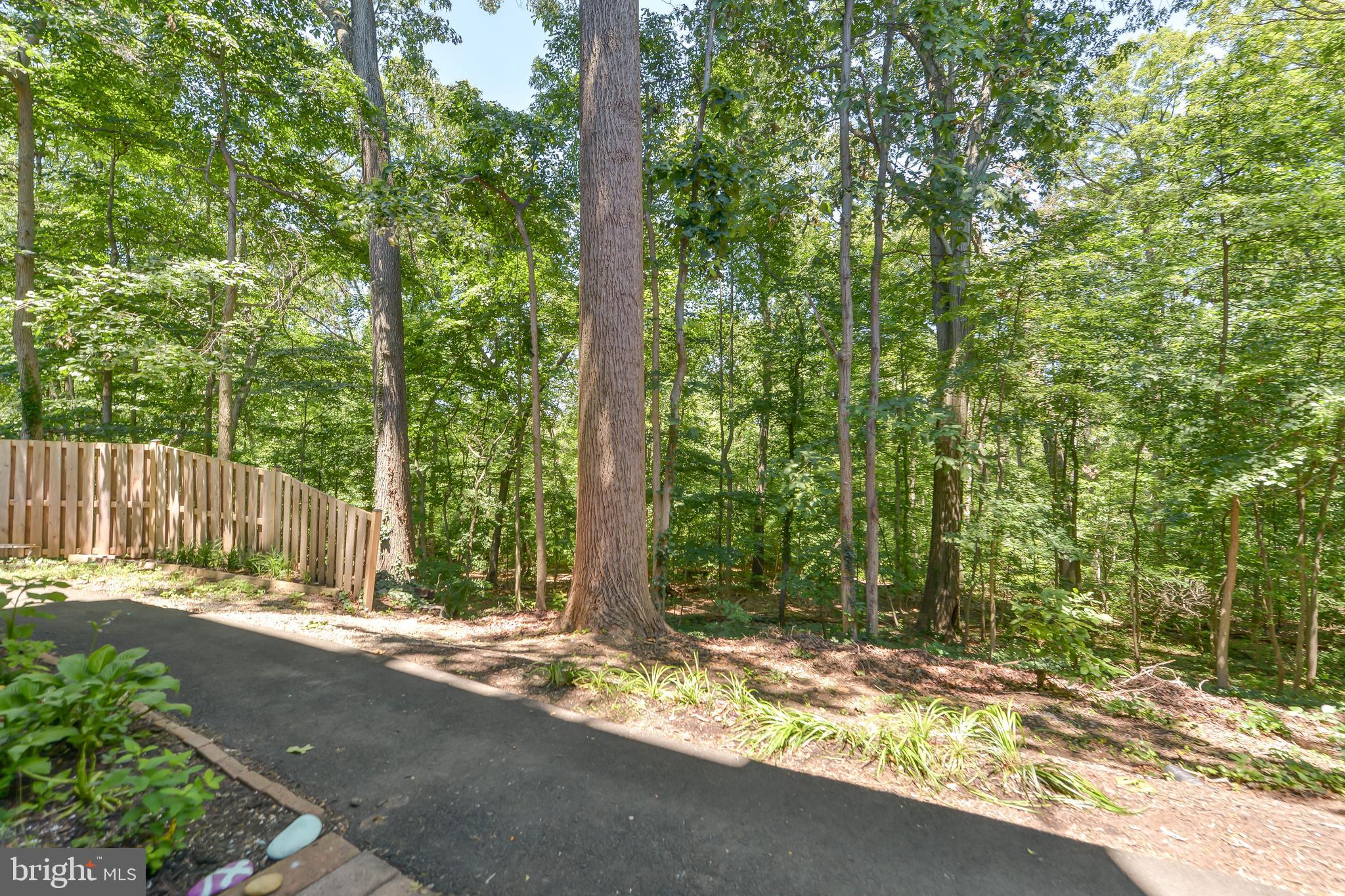 5065 7th Road South, Unit T1 Arlington, VA 22204 - Photo 30 of 38