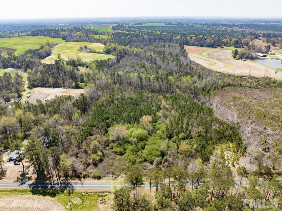 0 North McLean Chapel Church Road Bunnlevel, NC 28323 - Photo 1 of 16 a view of lake and mountain