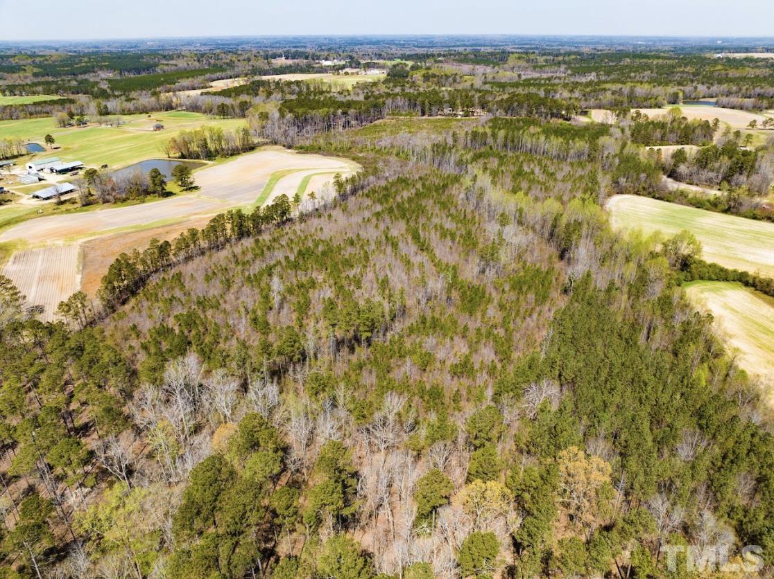 0 North McLean Chapel Church Road Bunnlevel, NC 28323 - Photo 12 of 16 a view of an ocean view