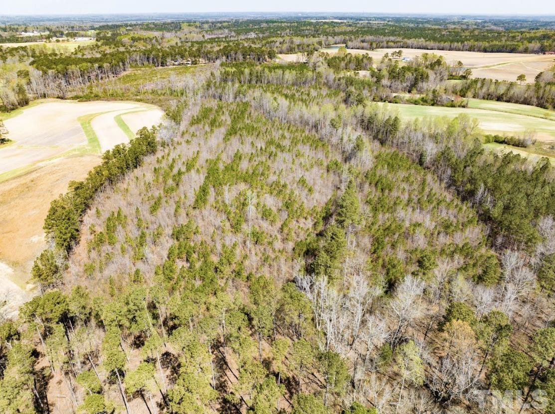 0 North McLean Chapel Church Road Bunnlevel, NC 28323 - Photo 3 of 16 a view of an outdoor space and swimming pool
