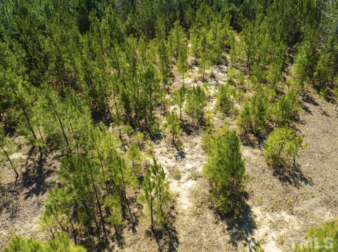 0 North McLean Chapel Church Road Bunnlevel, NC 28323 - Photo 6 of 16 a view of a yard