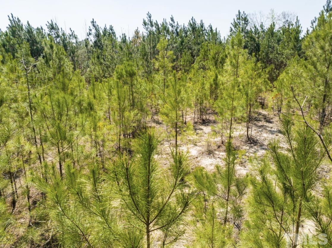 0 North McLean Chapel Church Road Bunnlevel, NC 28323 - Photo 8 of 16