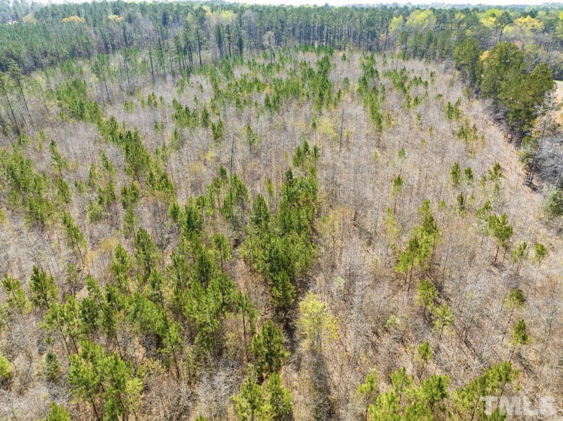0 North McLean Chapel Church Road Bunnlevel, NC 28323 - Photo 10 of 16 a view of a forest from a lake