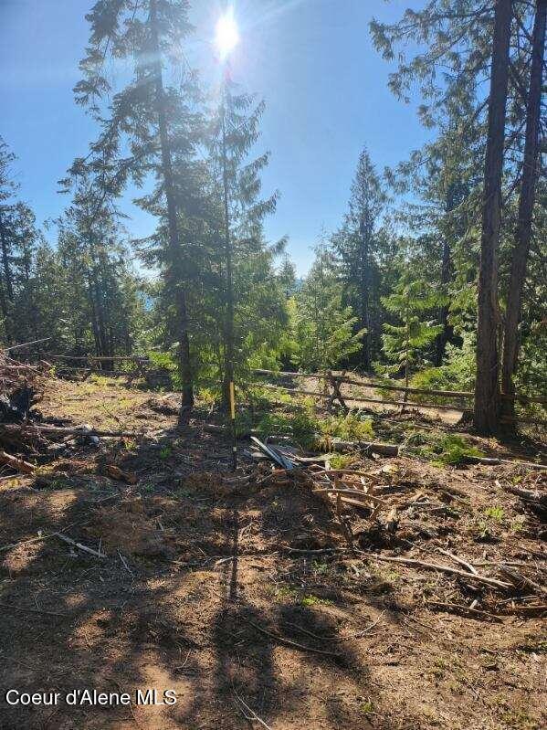 Nka Middle Fork Santa Creek Road St. Maries, ID 83861 - Photo 4 of 6 Middle Fork 4