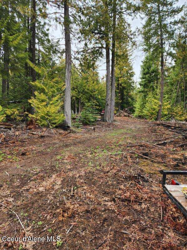Nka Middle Fork Santa Creek Road St. Maries, ID 83861 - Photo 6 of 6 Middle Fork 7
