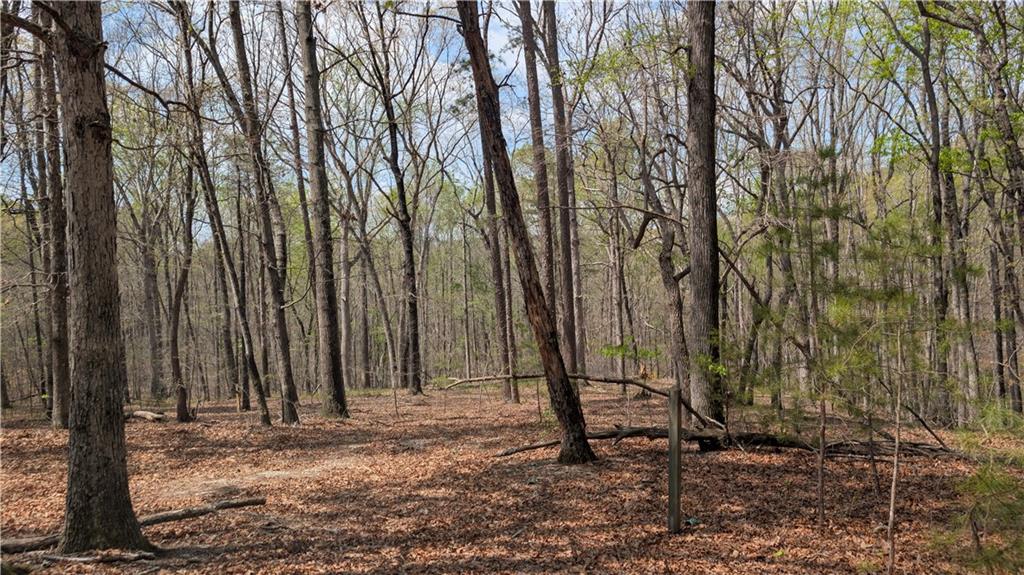 599 Garrison Road Lula, GA 30554 - Photo 13 of 15