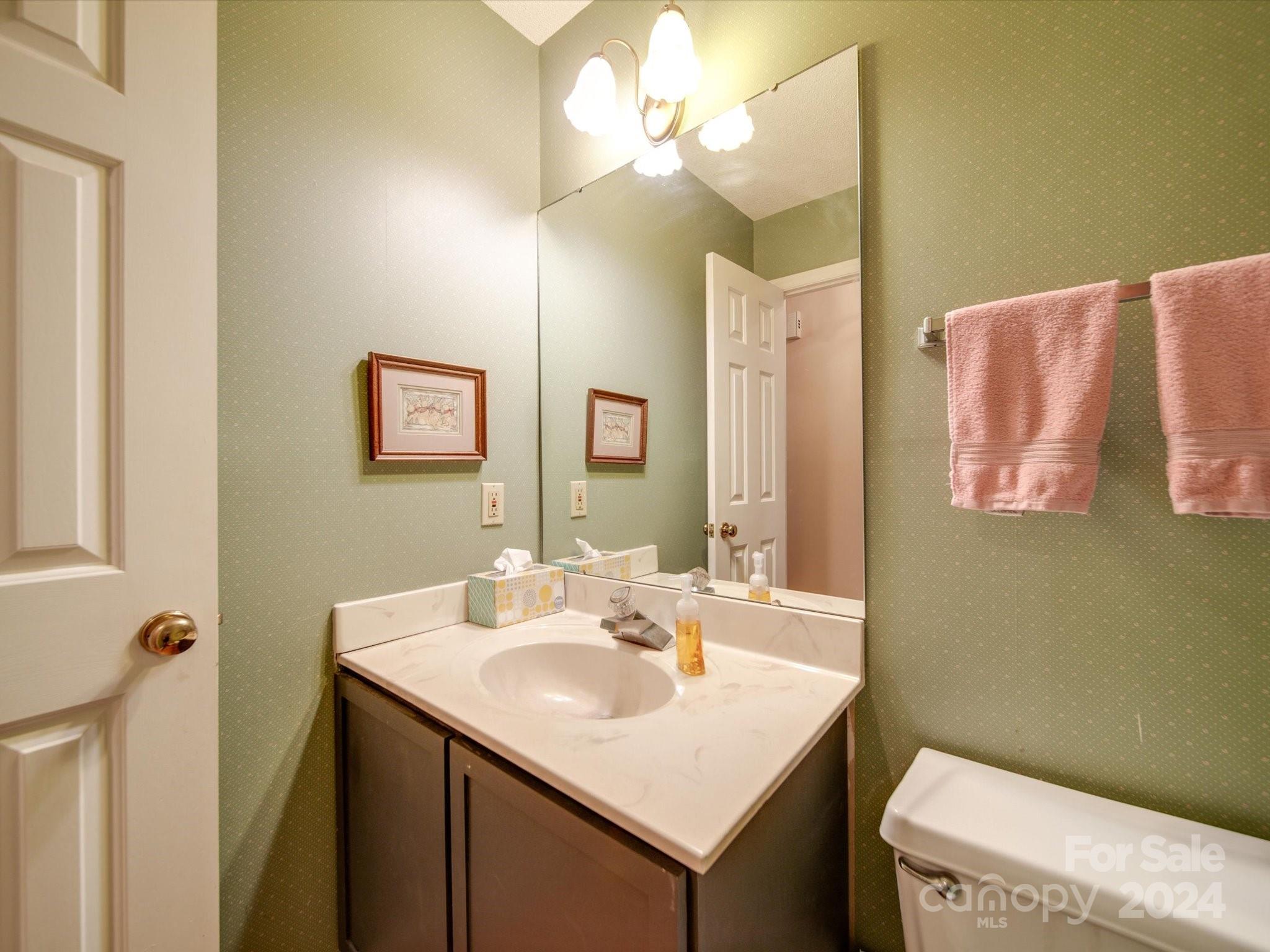1557 Woodcroft Drive Fort Mill, SC 29708 - Photo 20 of 46 a bathroom with a sink vanity and a mirror