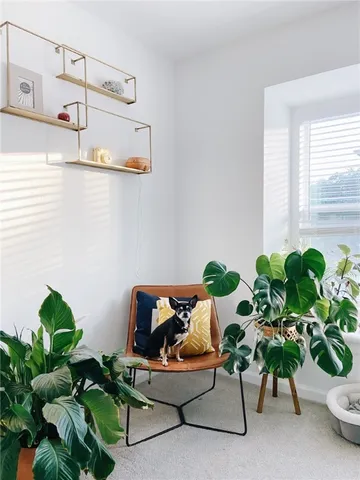 a plant sitting in a vase with flowers