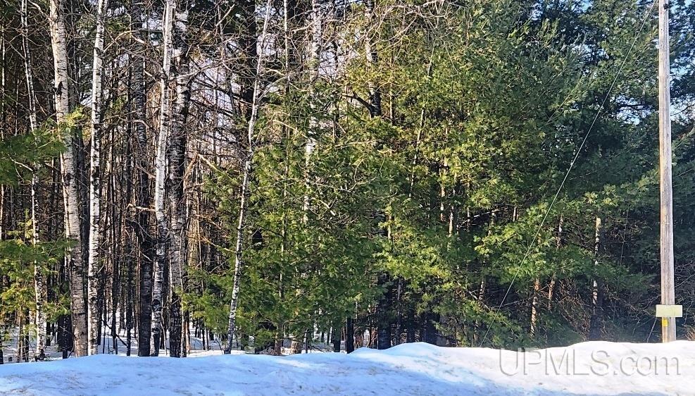 Tbd Oss Road, Unit 40 ACRES Crystal Falls, MI 49920 - Photo 6 of 18 Gallery Image 6