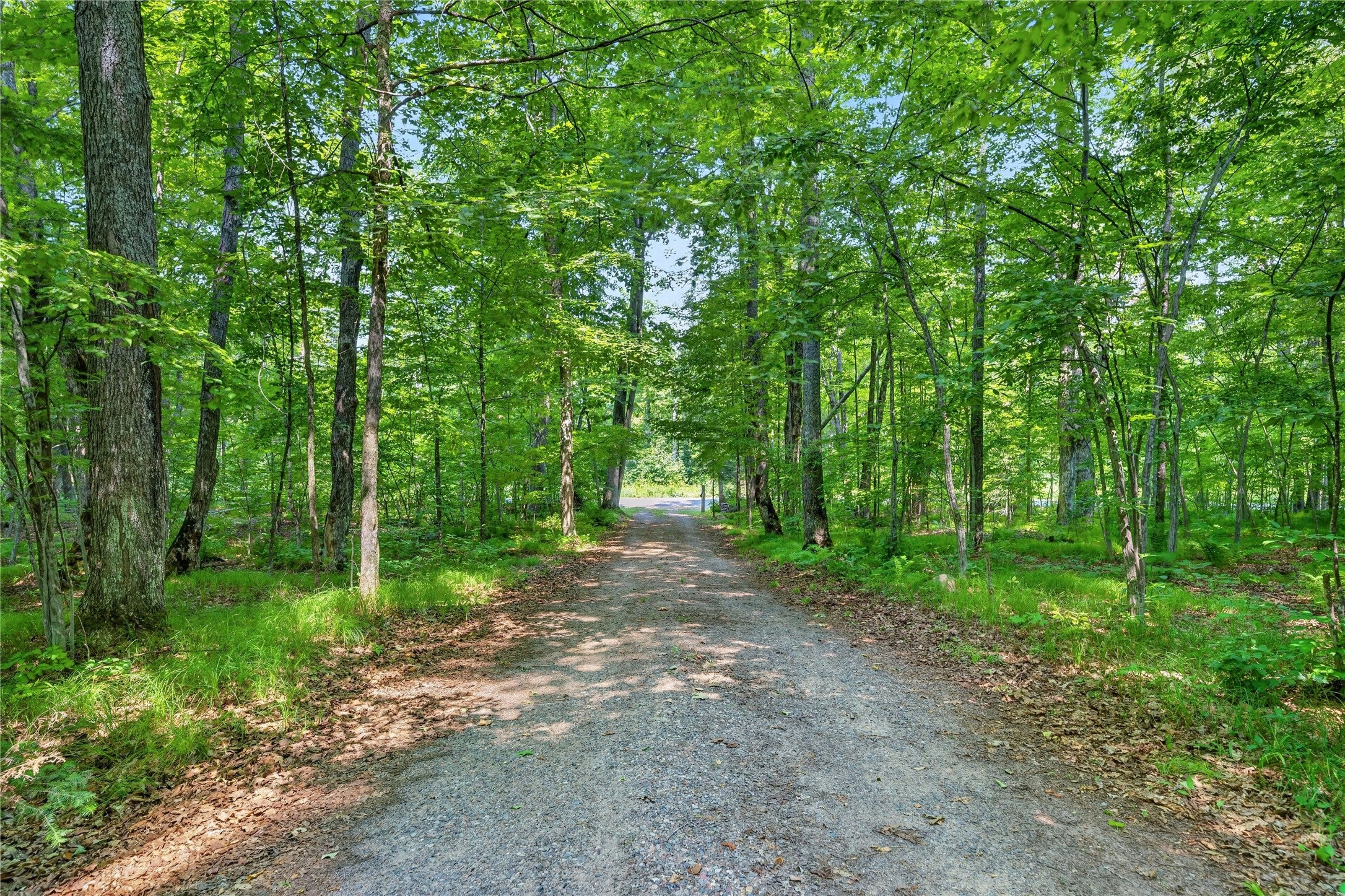 6925 W Hemlock Haven Road Winter, WI 54896 - Photo 13 of 42