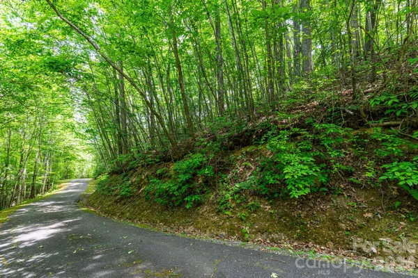 $22,000 | 46 Widgeon Way, Whittier, NC 28789