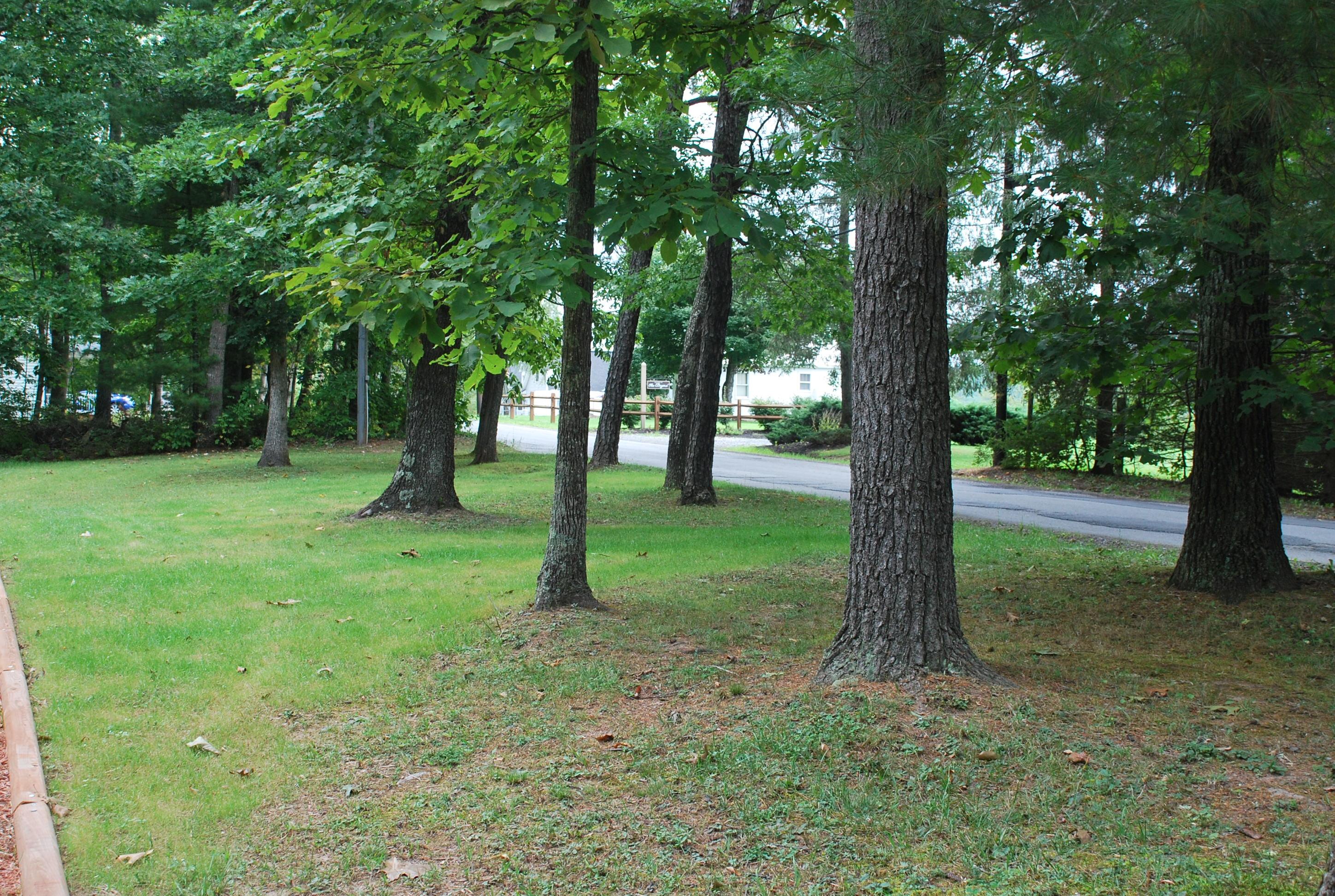 2887 Vago Road Frankford, WV 24938 - Photo 2 of 32 Gallery Image 2