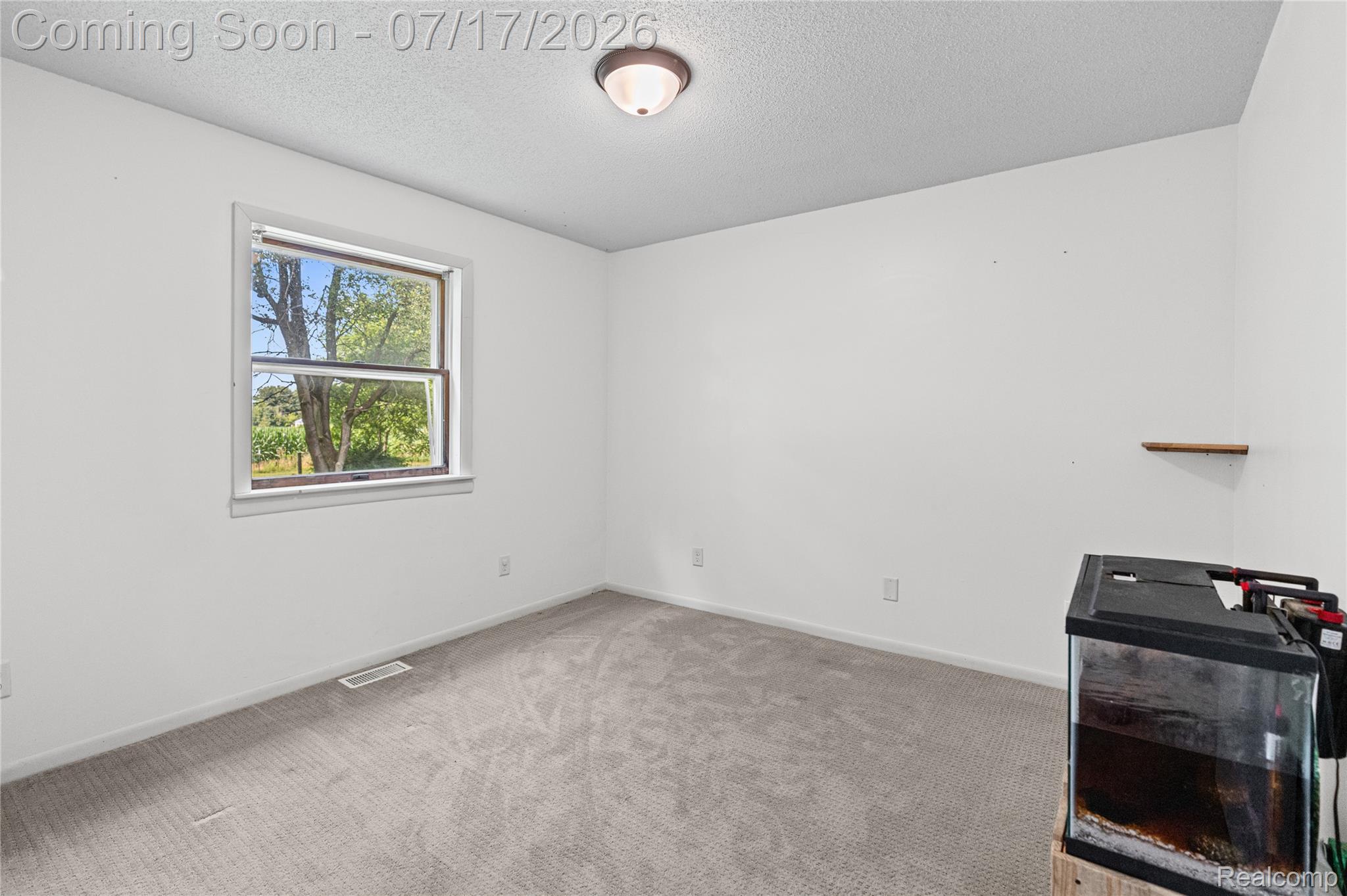 9204 Bray Road Millington, MI 48746 - Photo 7 of 14 9204 Bray Rd 7 42.jpg