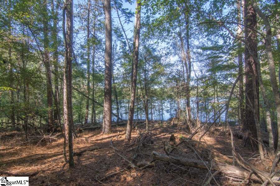 Cook Road Chesnee, SC 29323 - Photo 2 of 15 Gallery Image 2