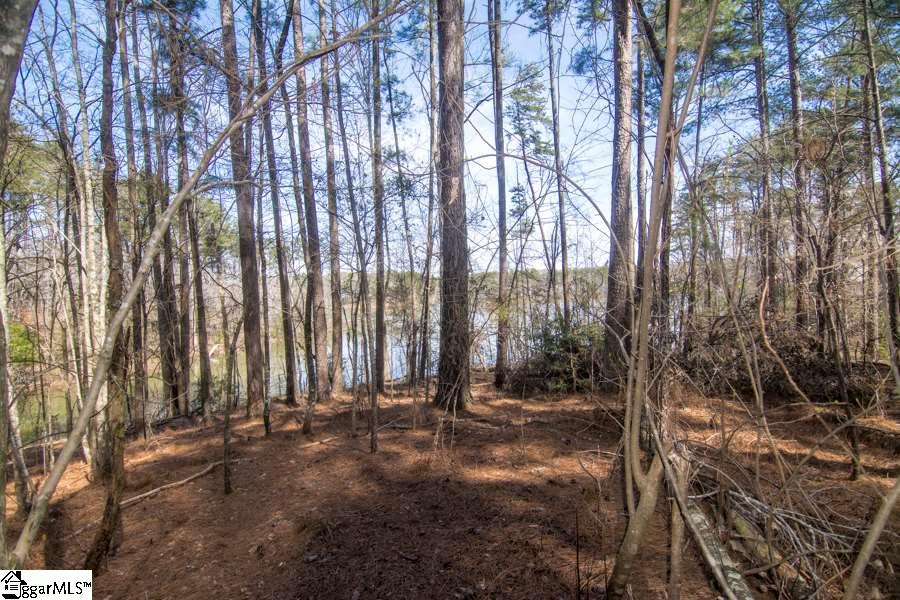 Cook Road Chesnee, SC 29323 - Photo 11 of 15 Gallery Image 11