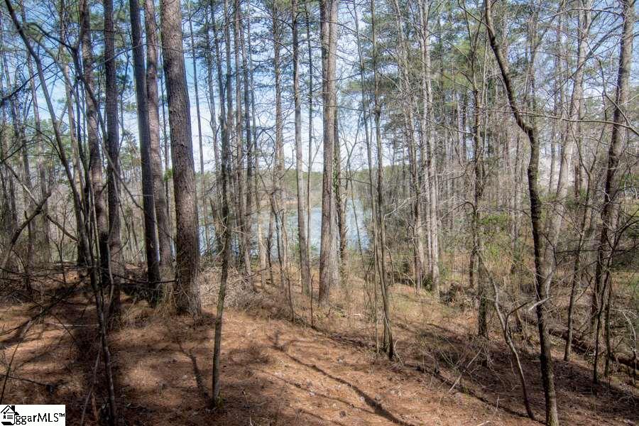 Cook Road Chesnee, SC 29323 - Photo 12 of 15 Gallery Image 12