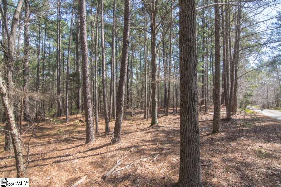 Cook Road Chesnee, SC 29323 - Photo 15 of 15 Gallery Image 15