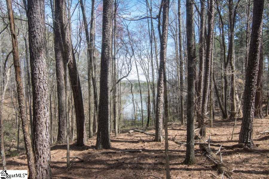 Cook Road Chesnee, SC 29323 - Photo 6 of 15 Gallery Image 6