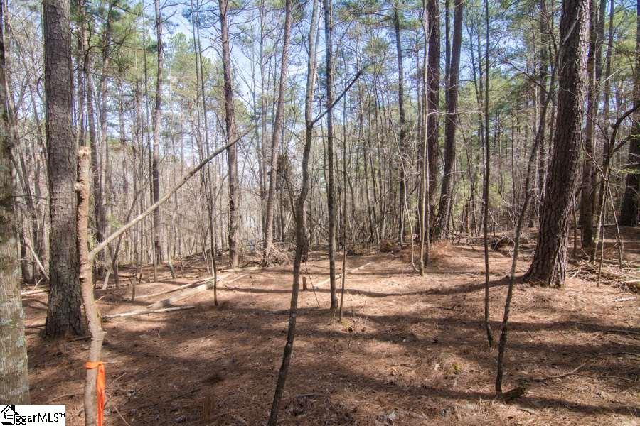 Cook Road Chesnee, SC 29323 - Photo 7 of 15 Gallery Image 7