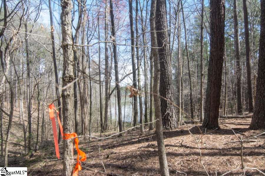 Cook Road Chesnee, SC 29323 - Photo 8 of 15 Gallery Image 8