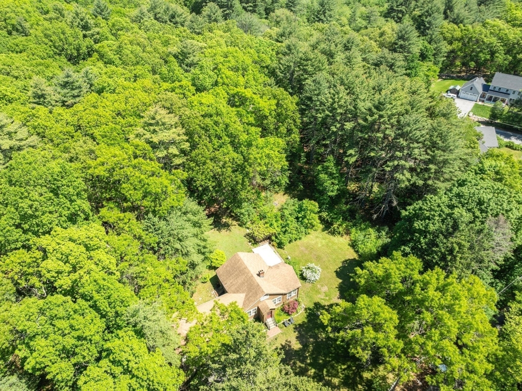 38 Rutland Street Carlisle, MA 01741 - Photo 14 of 18 a backyard of a house with a yard and large trees