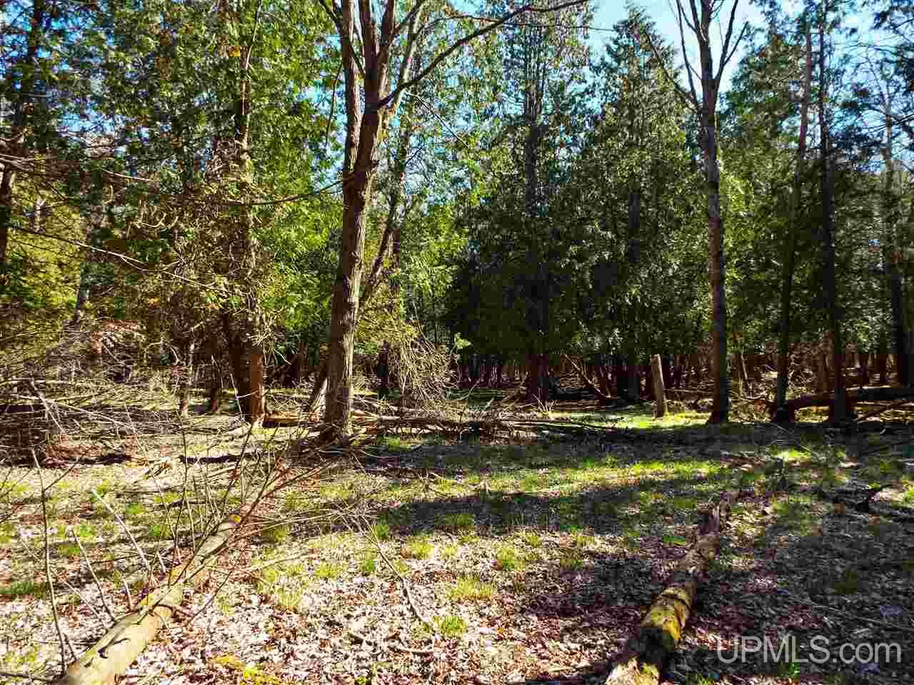 23 North (nn) Rd Garden Garden, MI 49835 - Photo 12 of 12