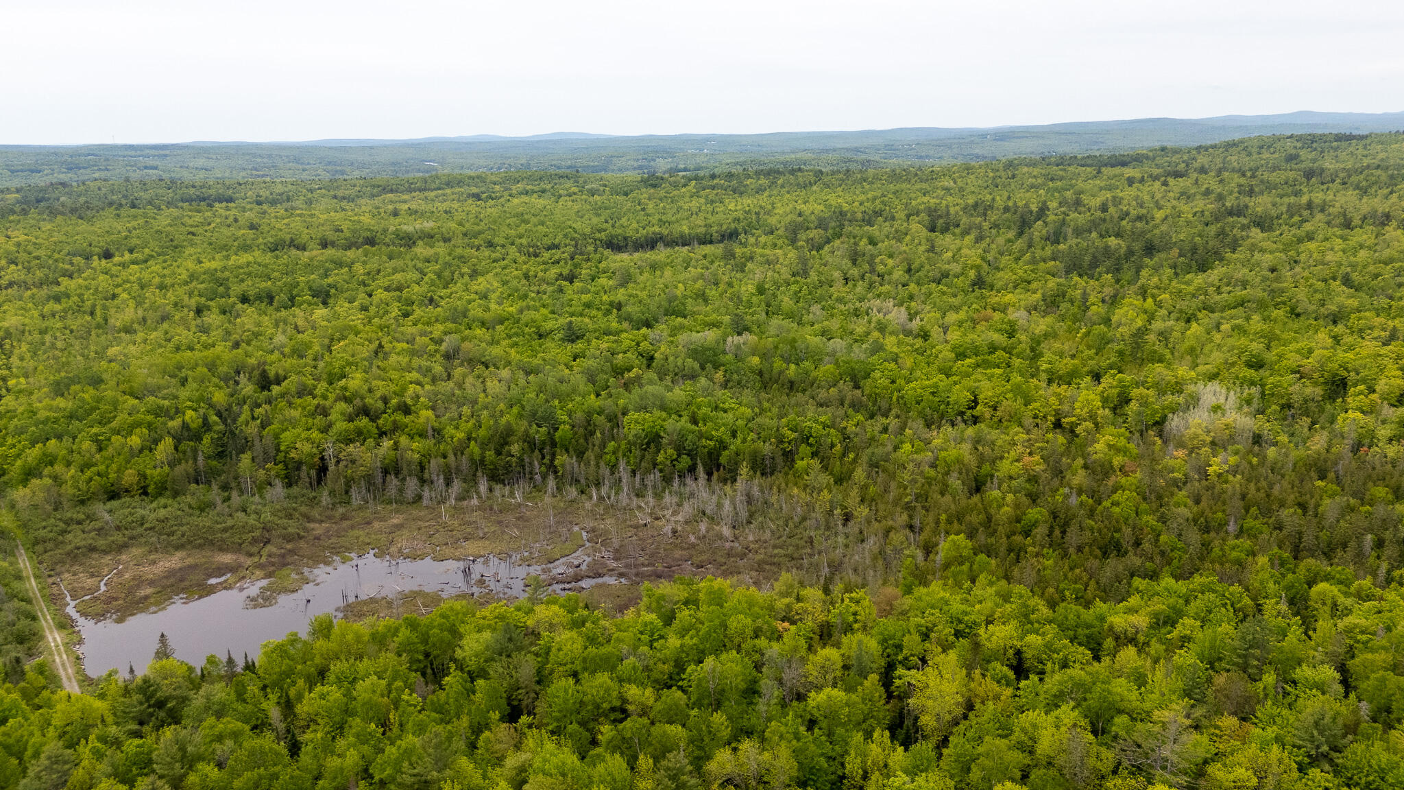 M5-l28 Cemetery Road Guilford, ME 04443 - Photo 50 of 58 DJI_20260602112022_0478_D