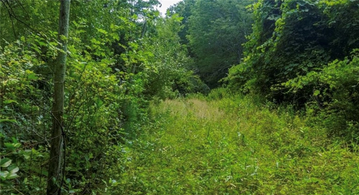 0 Lawton Foster Road South Hopkinton, RI 02833 - Photo 2 of 5
