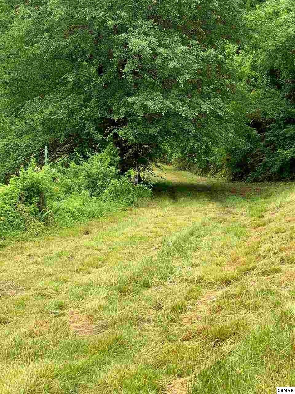 4301 Evans Chapel Road Sevierville, TN 37876 - Photo 12 of 15 Gallery Image 12