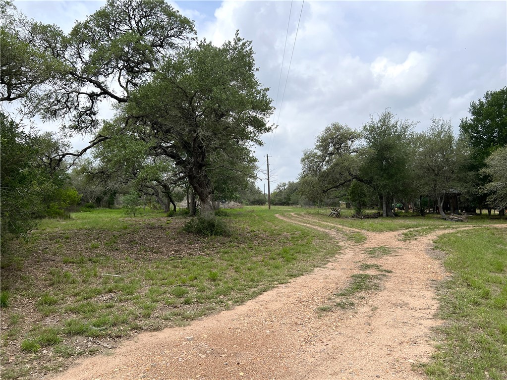 1632 Slickfield Road Yorktown, TX 78164 - Photo 15 of 40