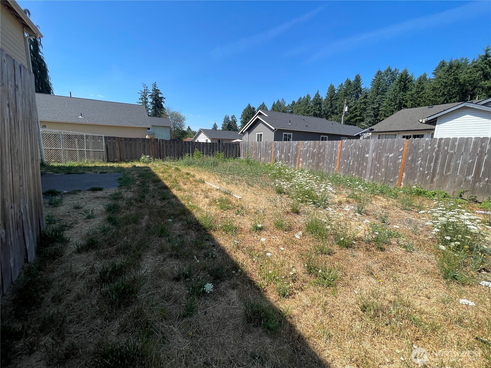 911 West Front Street Winlock, WA 98596 - Photo 16 of 30 a view of a yard in front of a house with a yard