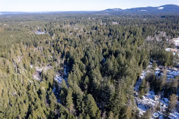 a view of a forest with a forest