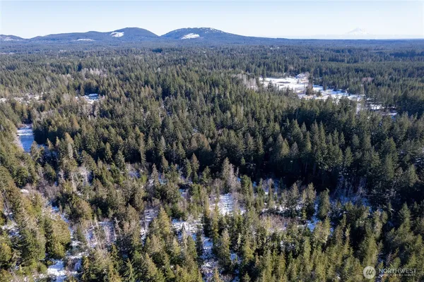 a view of a lot of trees and bushes