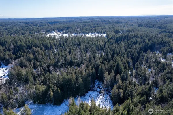 a view of a city with lush green forest