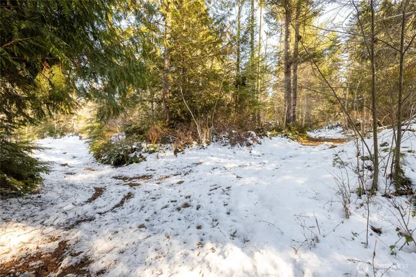 a view of a dirt yard with trees in the background
