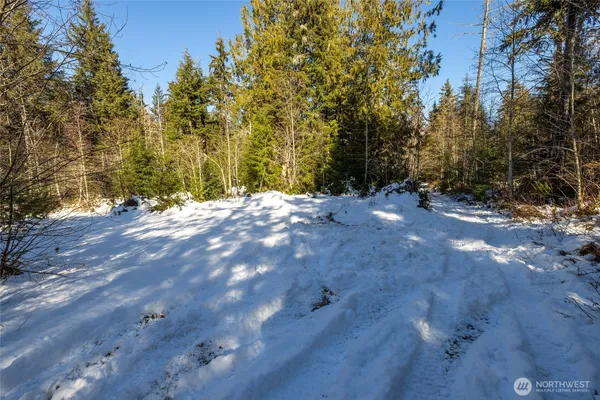 a view of a yard with a tree