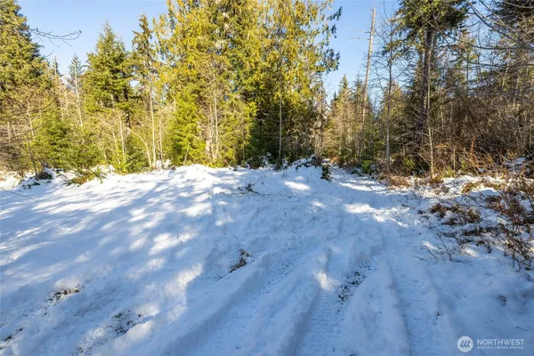 a view of a backyard of a house