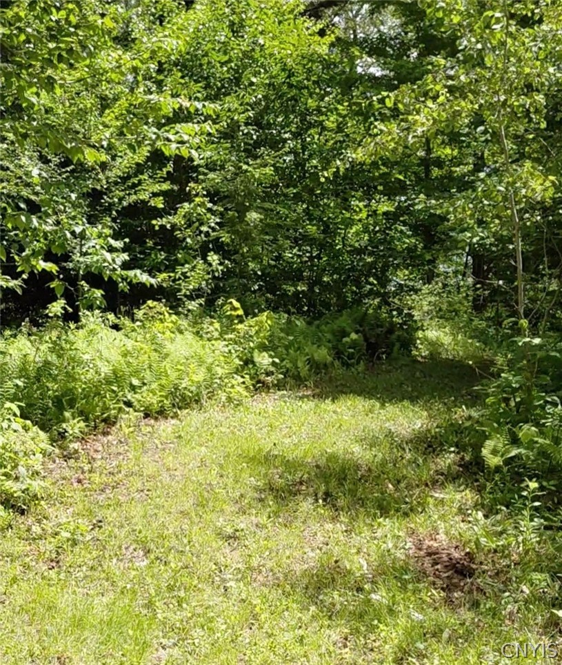 10269 Evans Road Steuben, NY 13438 - Photo 8 of 15