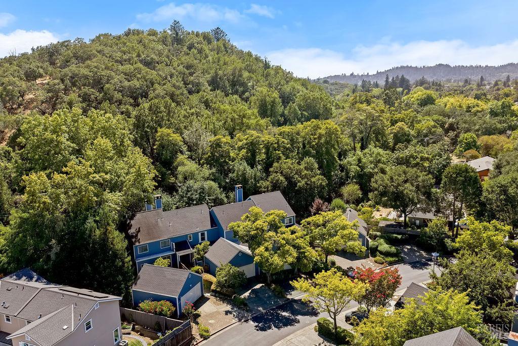 5171 Firestone Place Santa Rosa, CA 95409 - Photo 43 of 48 An aerial view highlights the home’s private location near the creek and the beautiful tree-covered hills of Rincon Valley.