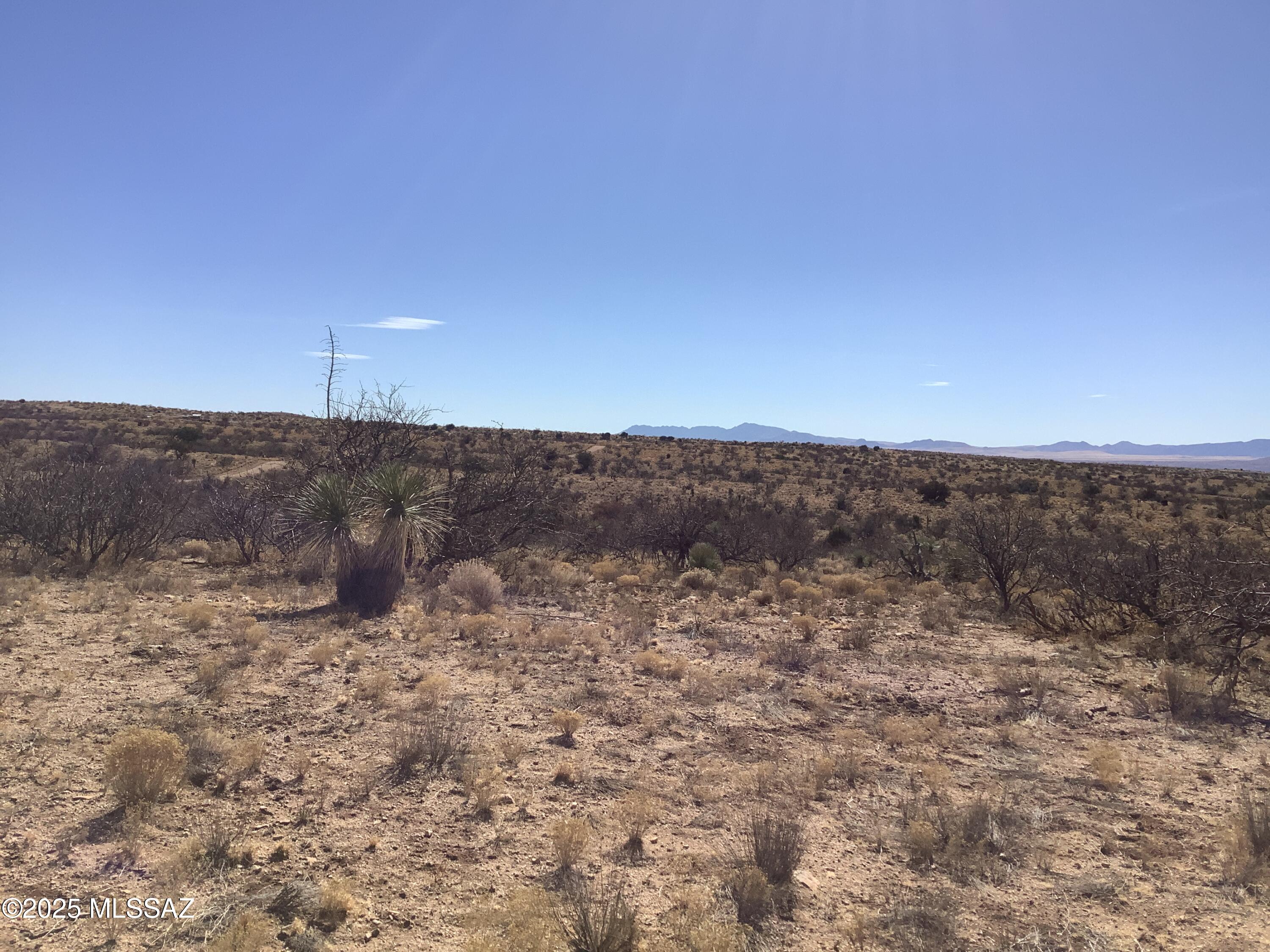 37.21-ac West Sheepwash Road, Unit 254 Willcox, AZ 85643 - Photo 25 of 37