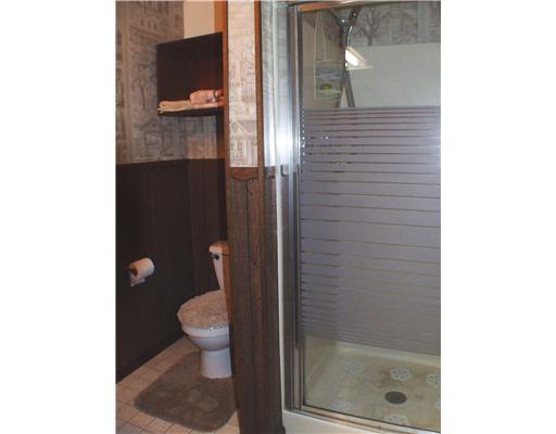 223 Wray Large Road Jefferson Hills, PA 15025 - Photo 12 of 15 Other. The second bath is off the game room in the lower level. It features a walk in shower and is surrounded by knotty pine.
