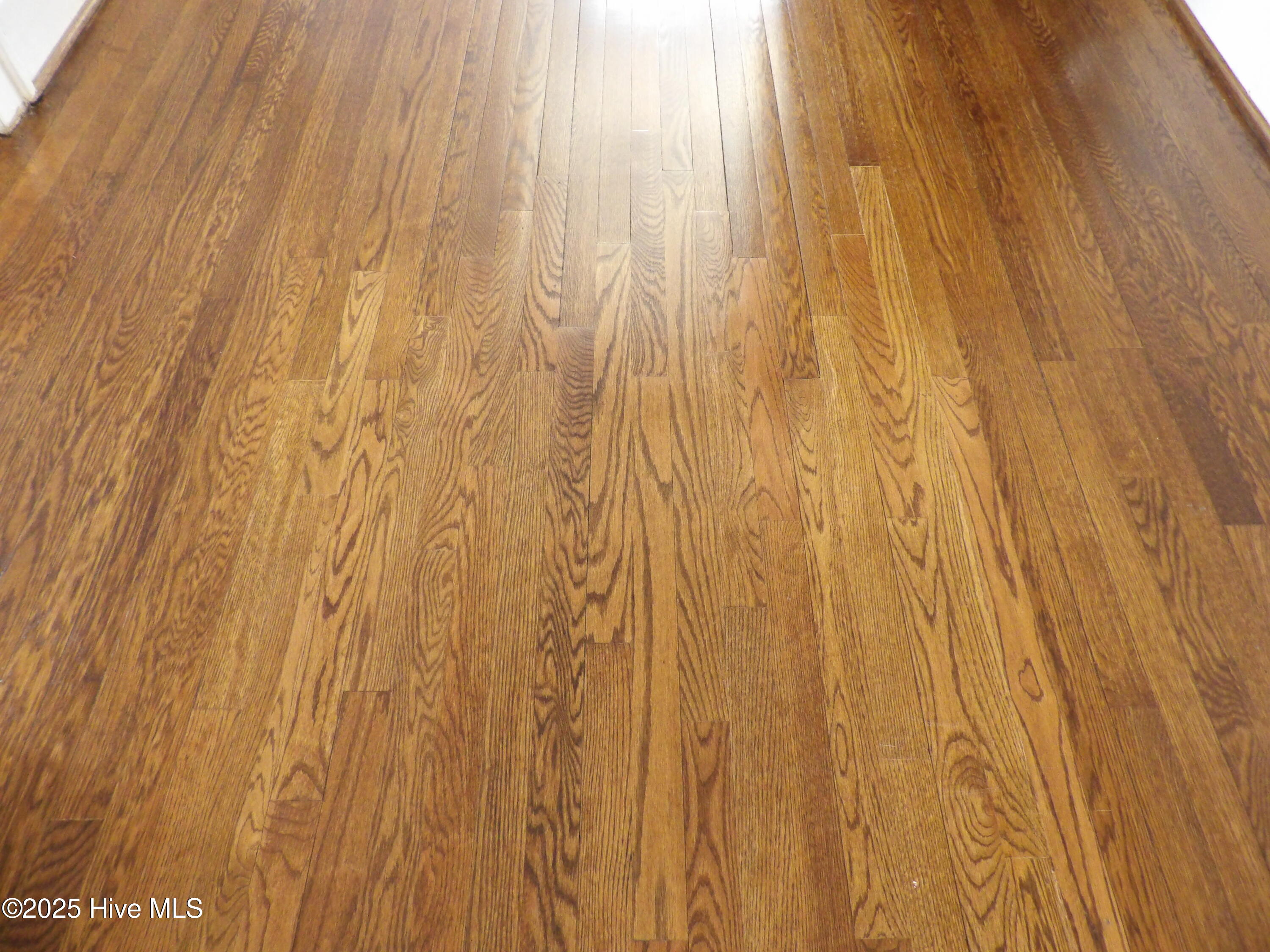 703 Broad Street West Wilson, NC 27893 - Photo 5 of 33 Stunning hardwoods throughout