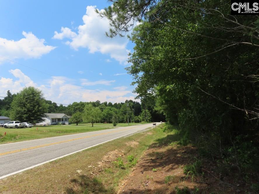 0 Park Road Ridgeway, SC 29130 - Photo 5 of 47