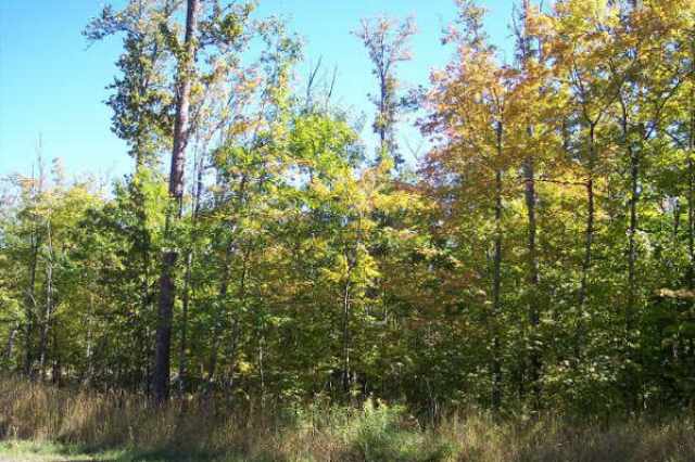 Lot 7-block 1 Eagle Ridge Development Duluth, MN 55803 - Photo 4 of 4 Gallery Image 4