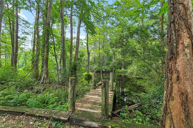 35175 Donny Road Pearl River, LA 70452 - Photo 25 of 29