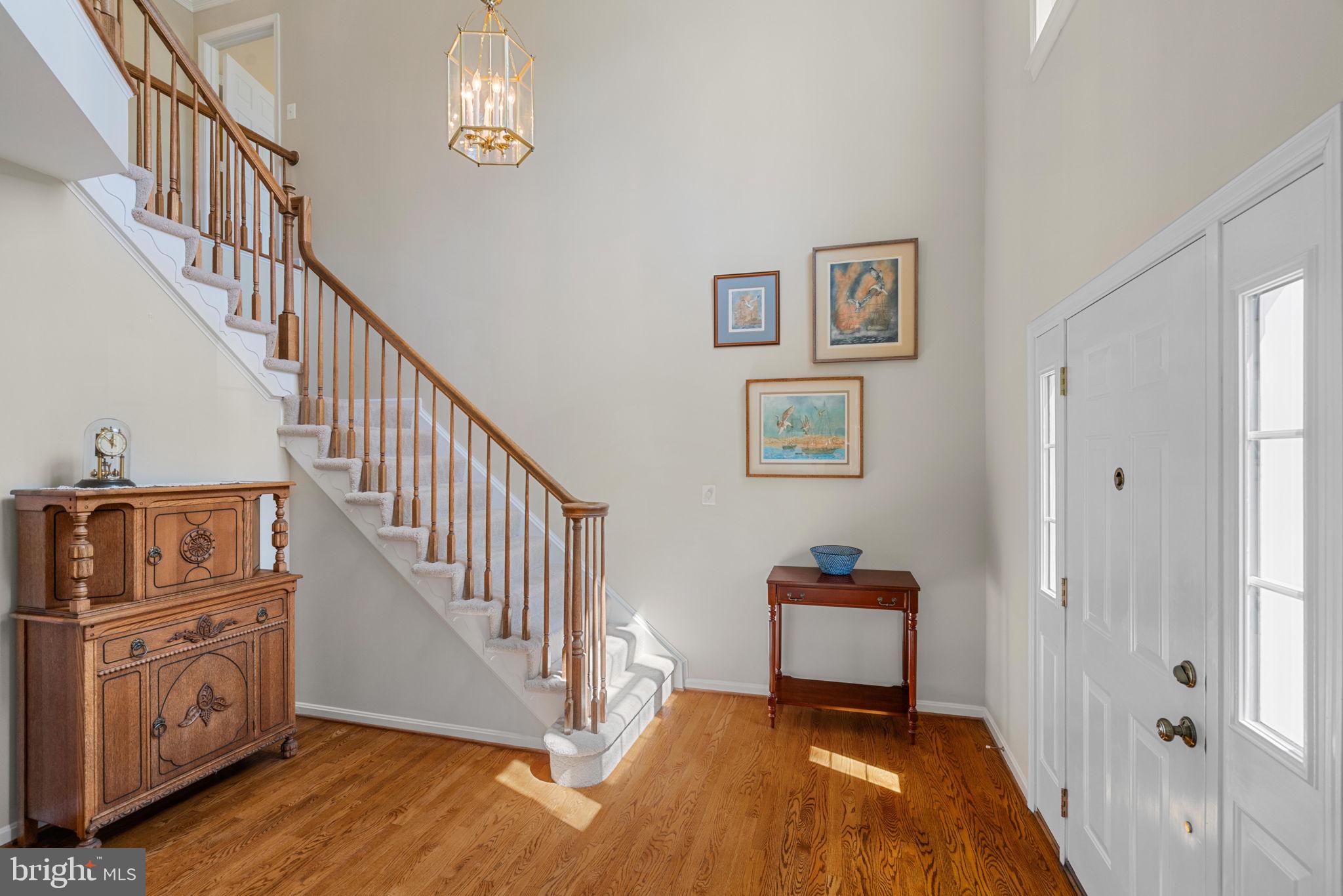 8978 Scott Street Springfield, VA 22153 - Photo 6 of 42 Gallery Image 6